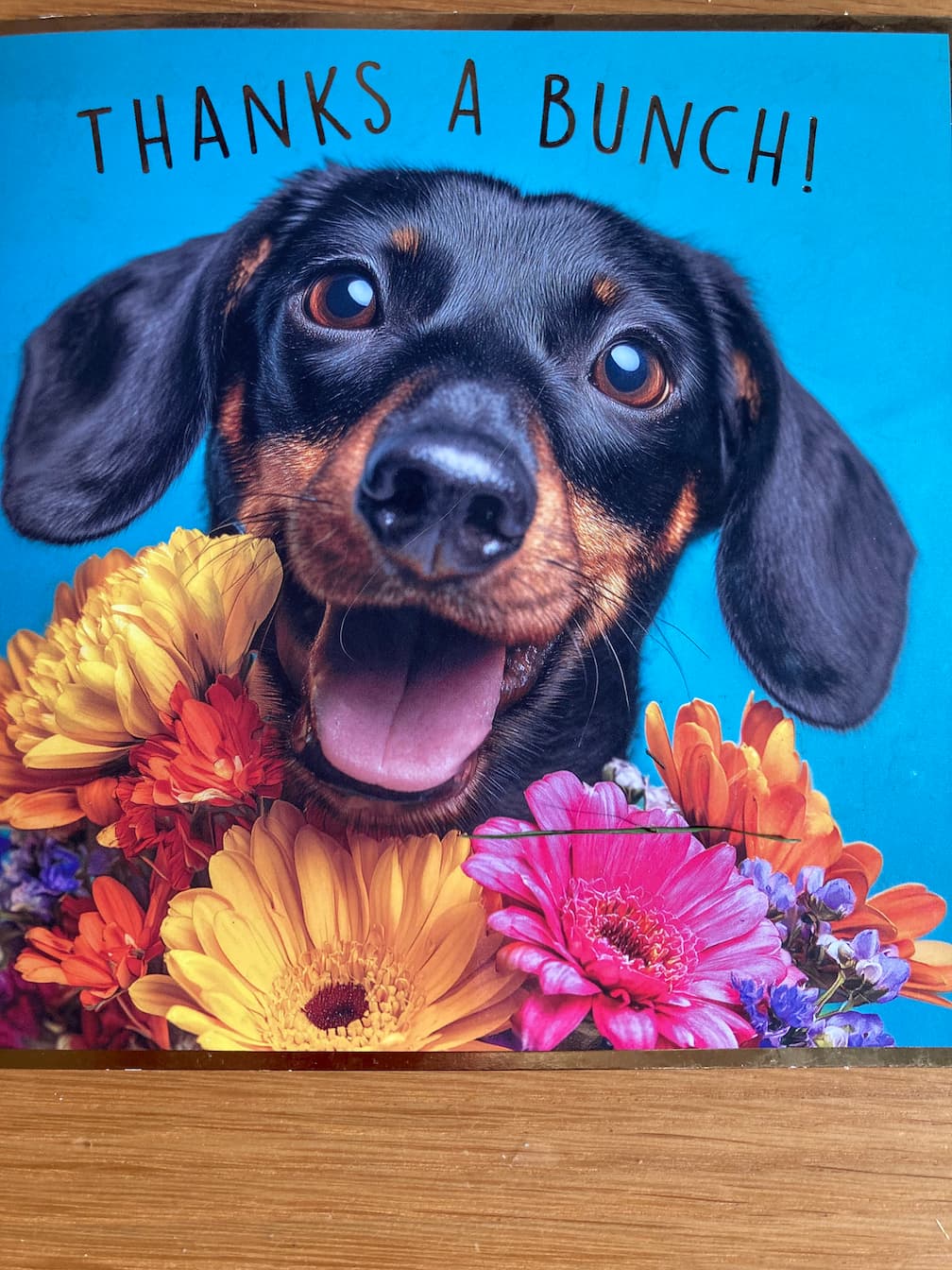 A card reading Thanks a bunch, with a dachshund among colourful flowers